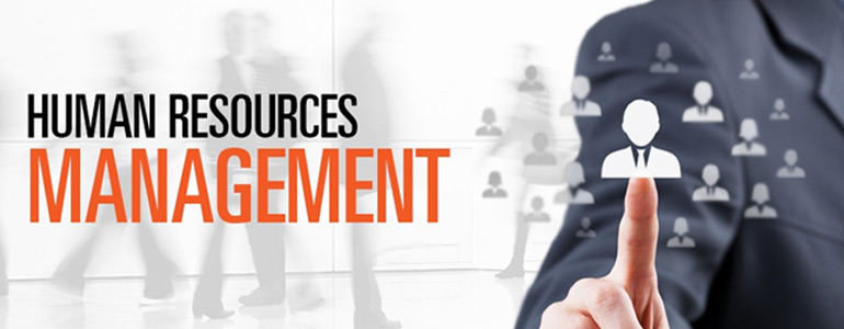 The Role of Strategic Human Resource Management in Organizational Success